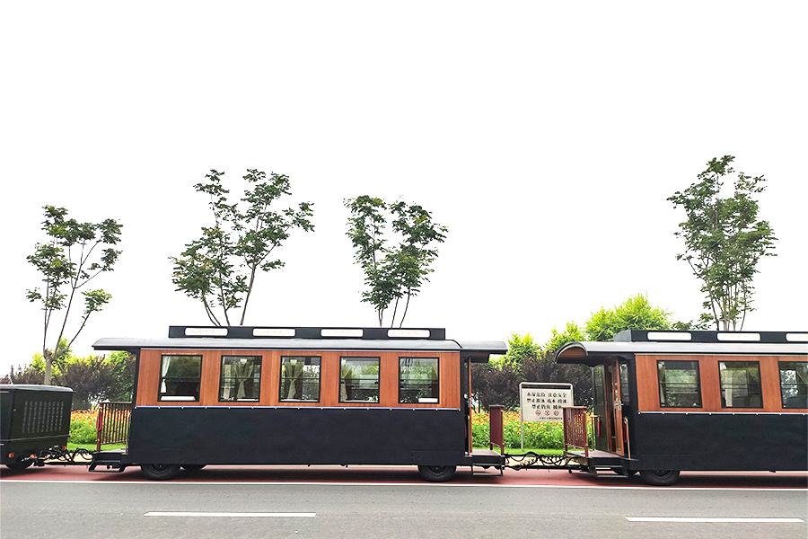 Grande trem de simulação sem trilhos de luxo