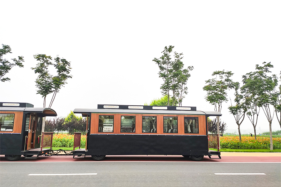 Grande trem de simulação sem trilhos de luxo