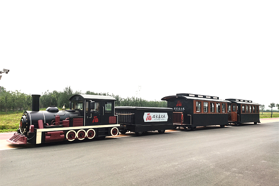 Grande trem de simulação sem trilhos de luxo