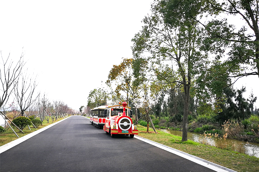 Carruagem semi-fechada 28 elegante grande trem de turismo sem trilhos