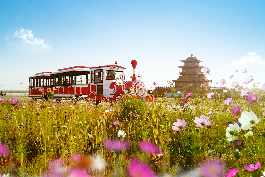 Trem de turismo clássico grande e sem trilhos de 20 lugares