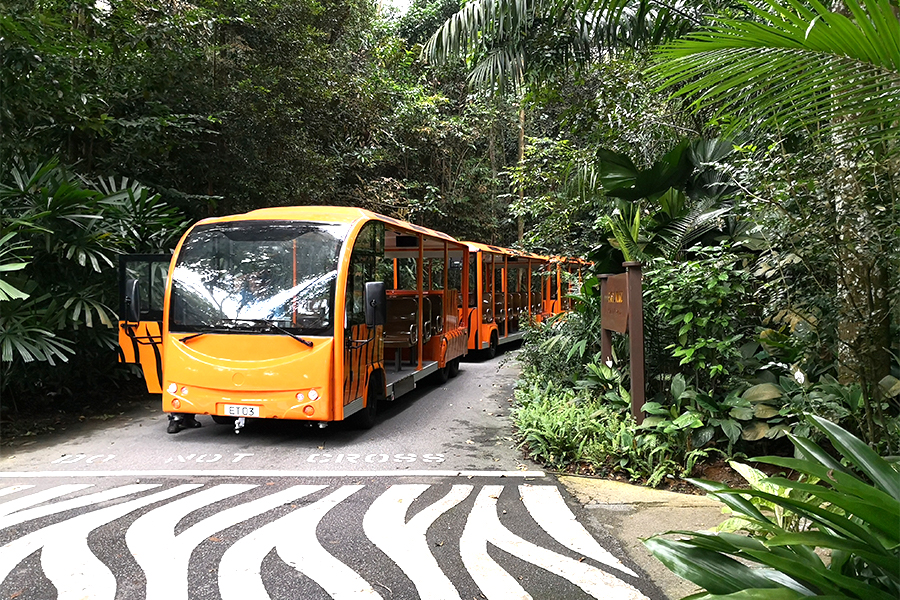 Modelo elétrico aberto tipo I com carro de turismo de seção de reboque